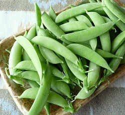 Горох Сахарная принцесса