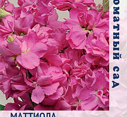 Маттиола Ароматный букет Розовый