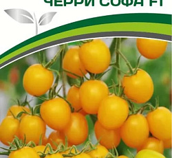 Томат Черри Софа F1