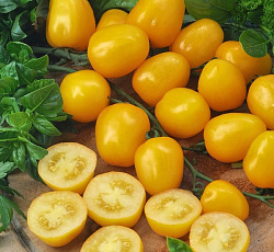 Томат Клубничка желтая F1