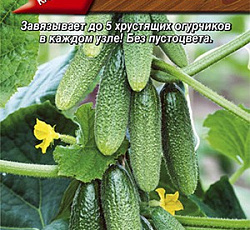 Огурец Все пучком F1