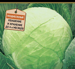 Капуста белокочанная Лидер