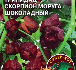 Перец острый Тринидад Скорпион моруга шоколадный