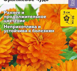 Цинния Дабл Захара Оранжевое чудо