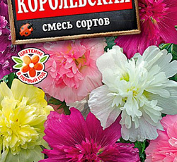 Шток-роза Королевская (смесь сортов)