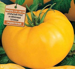 Томат Илья Муромец