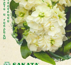 Левкой (маттиола) Айрон Желтый
