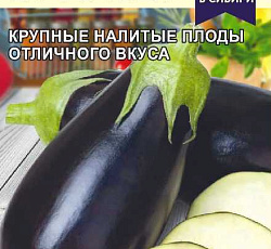 Баклажан Брюнет