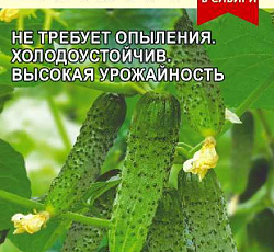 Огурец Шопа F1