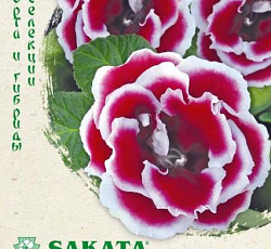 Глоксиния Брокада красная с белым F1