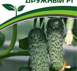 Огурец Дружный F1