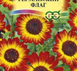Хризантема Германский флаг
