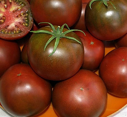 Томат Шоколадный