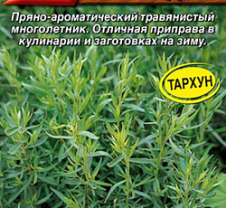 Эстрагон (тархун) Зеленый дол