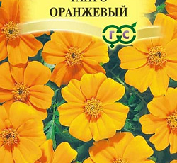 Бархатцы отклоненные Танго оранжевый