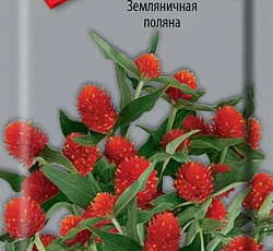 Гомфрена Земляничная поляна