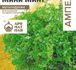 Мята корсиканская Мини минт