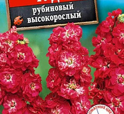 Левкой Чудо Рубиновый