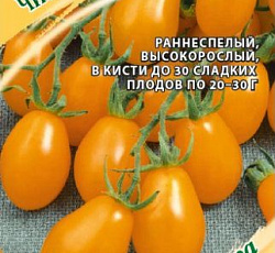 Томат Чио-чио-сан оранжевый