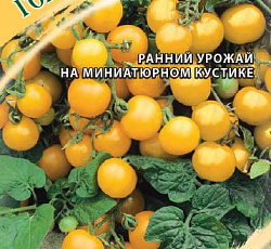 Томат Горшечный желтый
