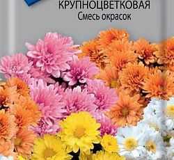 Хризантема Крупноцветковая Смесь окрасок