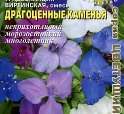 Традесканция виргинская Драгоценные каменья