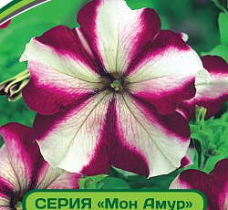 Петуния Мон Амур Эстель F1 многоцветковая прямостоячая
