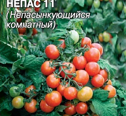 Томат Непас 11 (непасынкующийся комнатный)