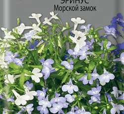 Лобелия Эринус Морской замок