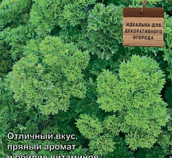 Петрушка кудрявая Кадриль