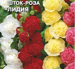 Шток-роза Лидия (смесь)