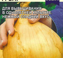 Лук репчатый Айлса Грейг