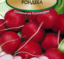 Редис Рондеел