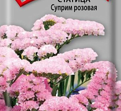 Статица Суприм розовая