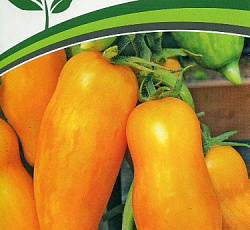 Томат Банановые ноги