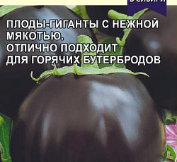 Баклажан Шаровидный