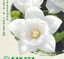 Платикодон крупноцветковый Антарес F1