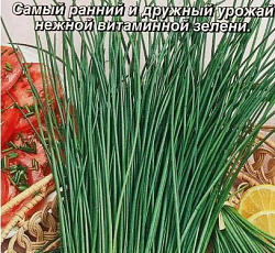 Лук шнитт Витаминный сноп