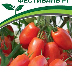Томат Фестиваль F1