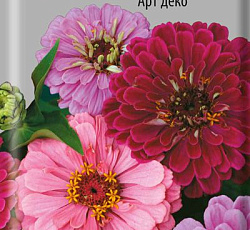 Цинния изящная Арт деко