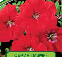 Петуния МиМи Стефания F1 многоцветковая каскадная