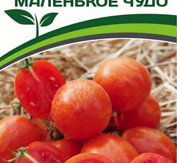 Томат Маленькое чудо