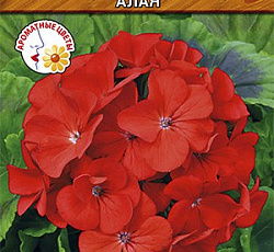 Пеларгония Магия лета F2 алая