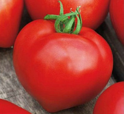Томат Премиум F1