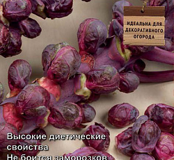 Капуста брюссельская Рубиновый гурман