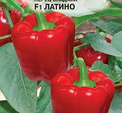Перец сладкий Латино F1