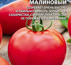 Томат Ультраскороспелый малиновый