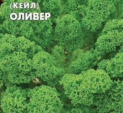 Капуста листовая (кале) Оливер