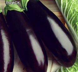 Баклажан Батайский