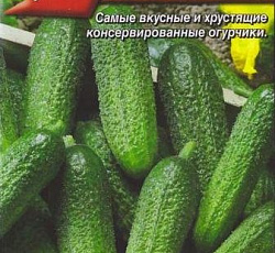 Огурец Шпингалет F1